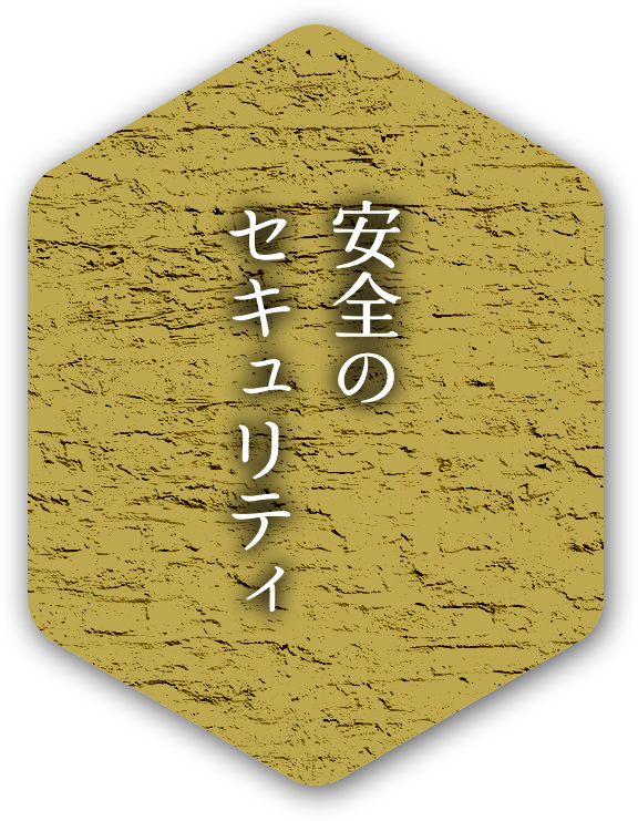 安全のセキュリティ